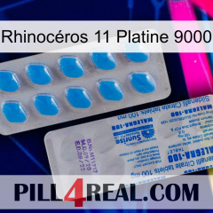 Rhinocéros 11 Platine 9000 new15